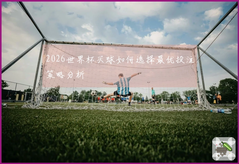 2026世界杯买球如何选择最优投注策略分析