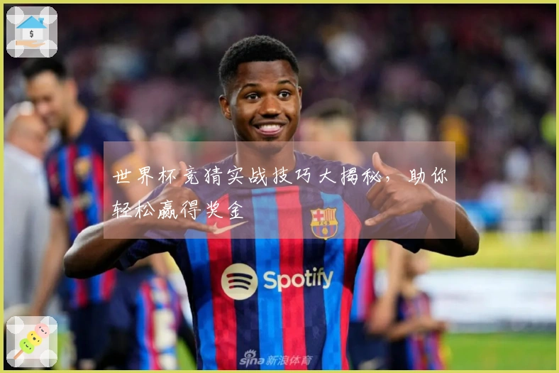 世界杯竞猜实战技巧大揭秘，助你轻松赢得奖金