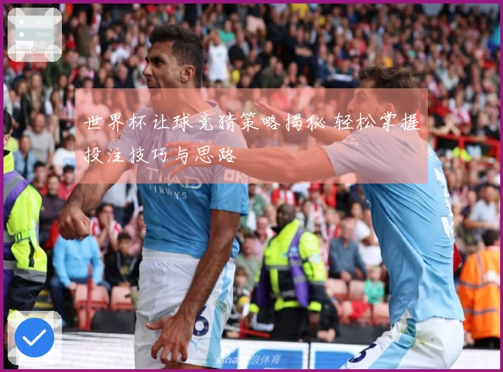 世界杯让球竞猜策略揭秘 轻松掌握投注技巧与思路
