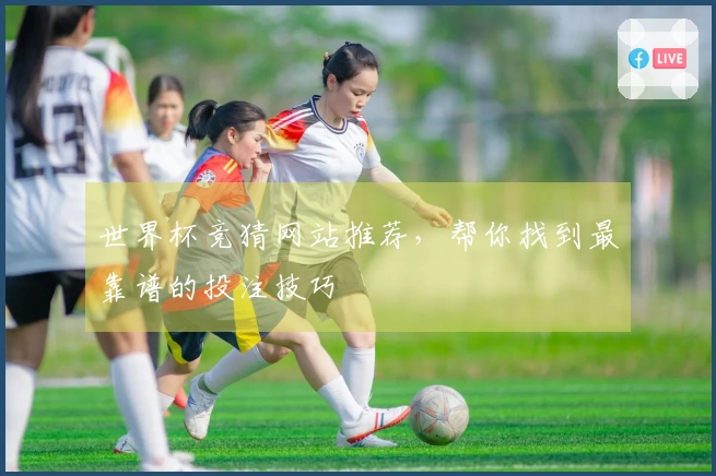 世界杯竞猜网站推荐，帮你找到最靠谱的投注技巧