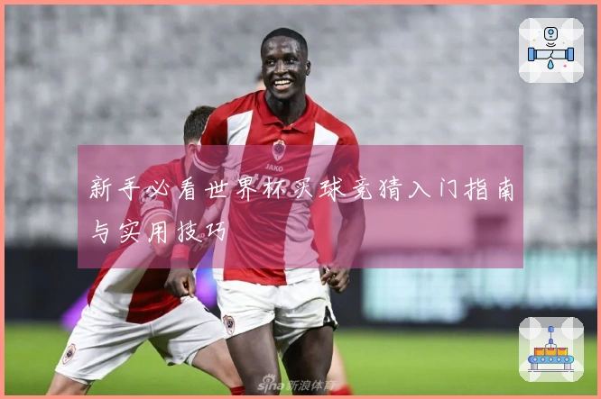 新手必看世界杯买球竞猜入门指南与实用技巧