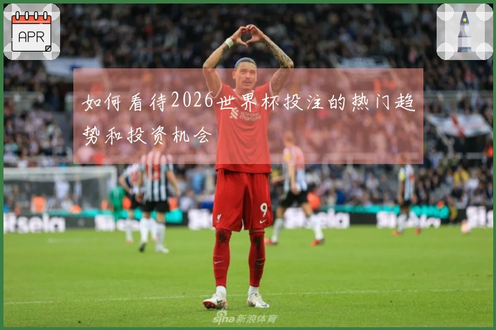 如何看待2026世界杯投注的热门趋势和投资机会