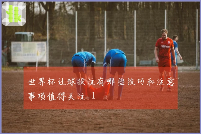 世界杯让球投注有哪些技巧和注意事项值得关注_1
