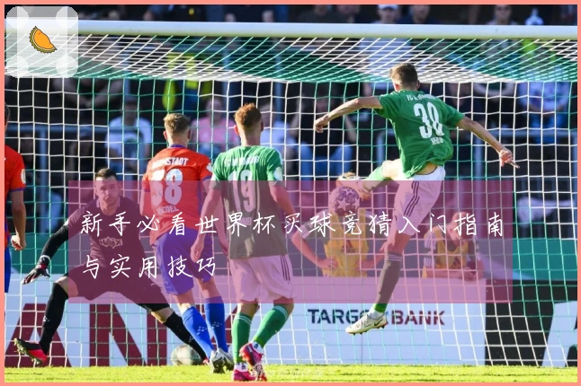 新手必看世界杯买球竞猜入门指南与实用技巧