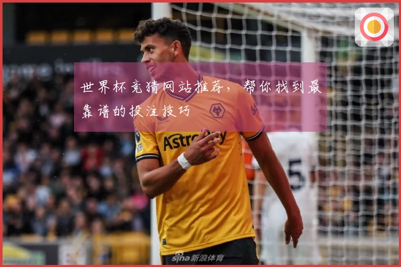 世界杯竞猜网站推荐，帮你找到最靠谱的投注技巧