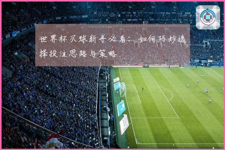 世界杯买球新手必看：如何巧妙选择投注思路与策略