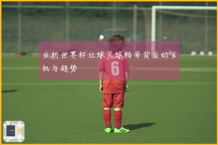 分析世界杯让球买球赔率背后的玄机与趋势