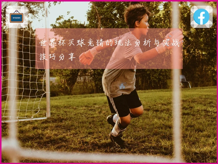 世界杯买球竞猜的玩法分析与实战技巧分享
