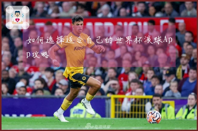 如何选择适合自己的世界杯滚球App攻略