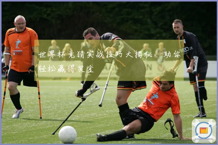 世界杯竞猜实战技巧大揭秘，助你轻松赢得奖金